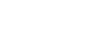 aapta numis logo